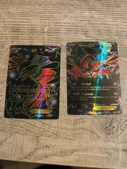 Carte Pokémon Yveltal EX
