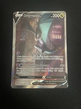 Carte bruyverne V alternative 196/203