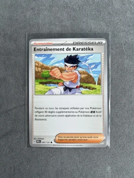 Carte Pokémon - entraînement de Karatéka - 097/131