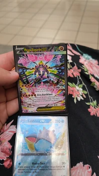 Méga-Zygarde Ex