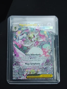 Carte Pokémon français