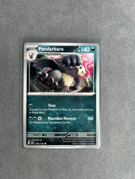 Carte Pokémon - Pandarbare - 093/142