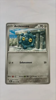 Archéomire 66/131 Evolutions prismatiques