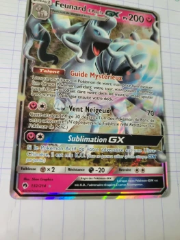 Feunard dalola GX pokémon