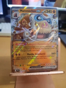 Carte Mammochon ex JTG