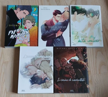 Lot de yaoi