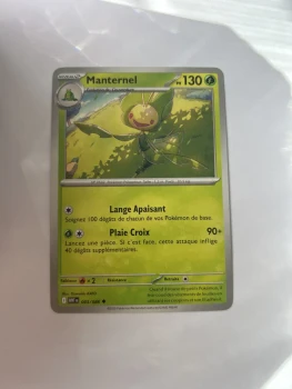 Manternel 3/86 flammes blanche