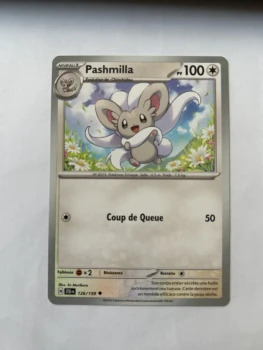 Pashmilla 126/159 Aventures ensemble