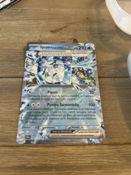 Je vends cette carte Pokémon