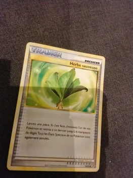 Traîner Herbe sauvage