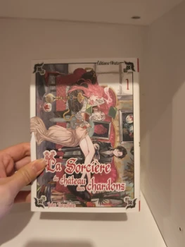 La sorcière du château aux chardons 1