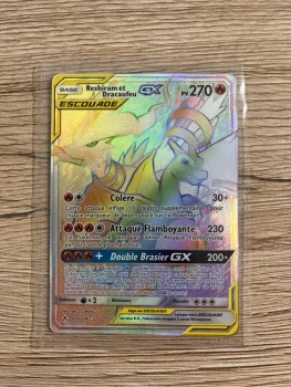 Carte Pokémon reshiram et Dracaufeu escouade rainbow