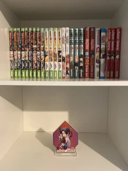 Lot de 25 mangas plus décoration
