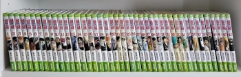 Bleach : Tome 1 à 43 (manga de Tite KUBO)