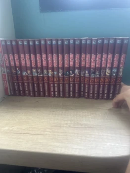 Lot 23 tomes Fairytail
