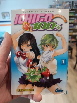 Ichigo 100% tome 1