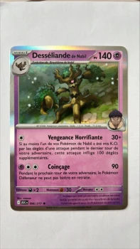 Desséliande de Nabil 96/217 Héros transcendants