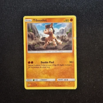Carte Pokemon : Tiboudet - Gardiens Ascendants