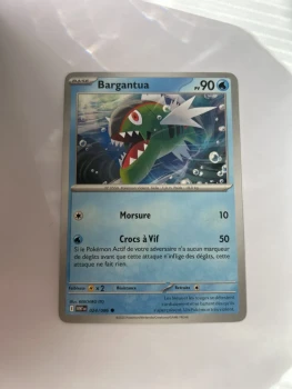 Bargantua 24/86 Flamme blanche