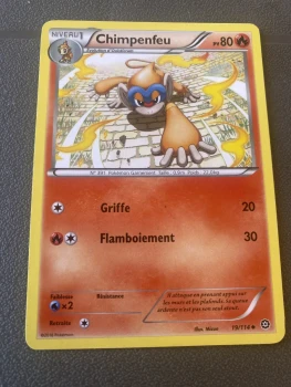 Carte Pokémon chimpenfeu 13/114