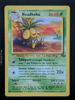 Noadkoko 35/64 - Jungle - FR (2000)