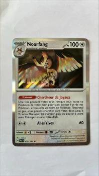 Noarfang 78/131 evolutions prismatiques
