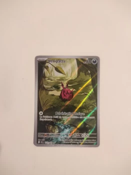 Venipatte AR 🇫🇷 BLK