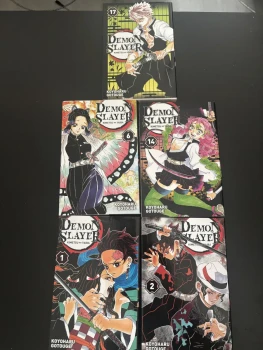 Lot de 5 tomes Demon Slayer (1,2,6,14,17) en très bonne état