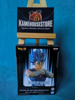Blood of Saiyans Special XIX Vegito Super Saiyan Blue – Dragon Ball Super – Banpresto – Import Japon – Neuf