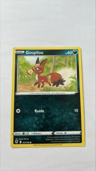 Goupilou 103/189 Astres radieux