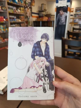 Perfect world tome 3