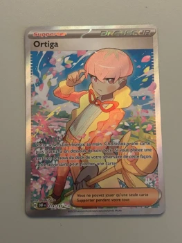 Ortiga - 219/197