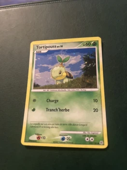 Tortipouss 103/130 holographique Neuve