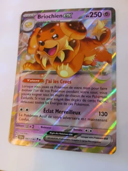 Carte pokemon couronne stélèrre