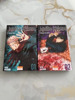 Jujutsu Kaisen, tome 1 et 2