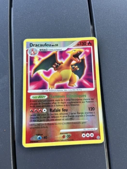 dracaufeu niv.55