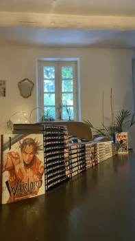 Lot de 8 collections de manga