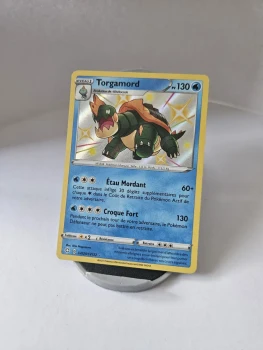Torgamord sv029