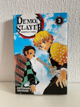 Demon slayer: Tome 3