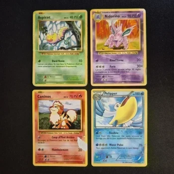 Carte Pokemon : XY Evolutions