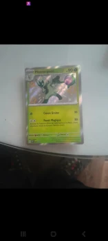Matourgeon shiny nm