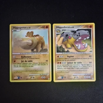 Cartes Pokemon : Famille Hippopotas - Diamant & Perle