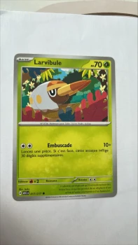 Larvibule 17/217 Héros transcendants