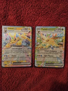 Voltali et phyllali ex