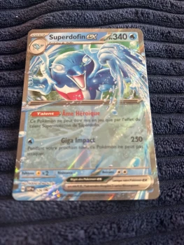 Je vend cette carte Pokémon