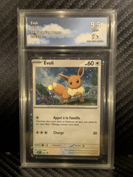 Evoli 043 SV Black Star Promos 2023 FR CollectAura 9.5