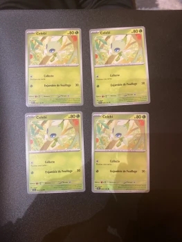 Celebi 004/142