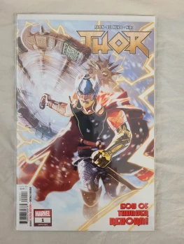 Thor 2018 1