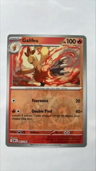 Galifeu 41/182 Rivalités destinées