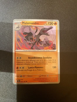 Malamandre 024/142
